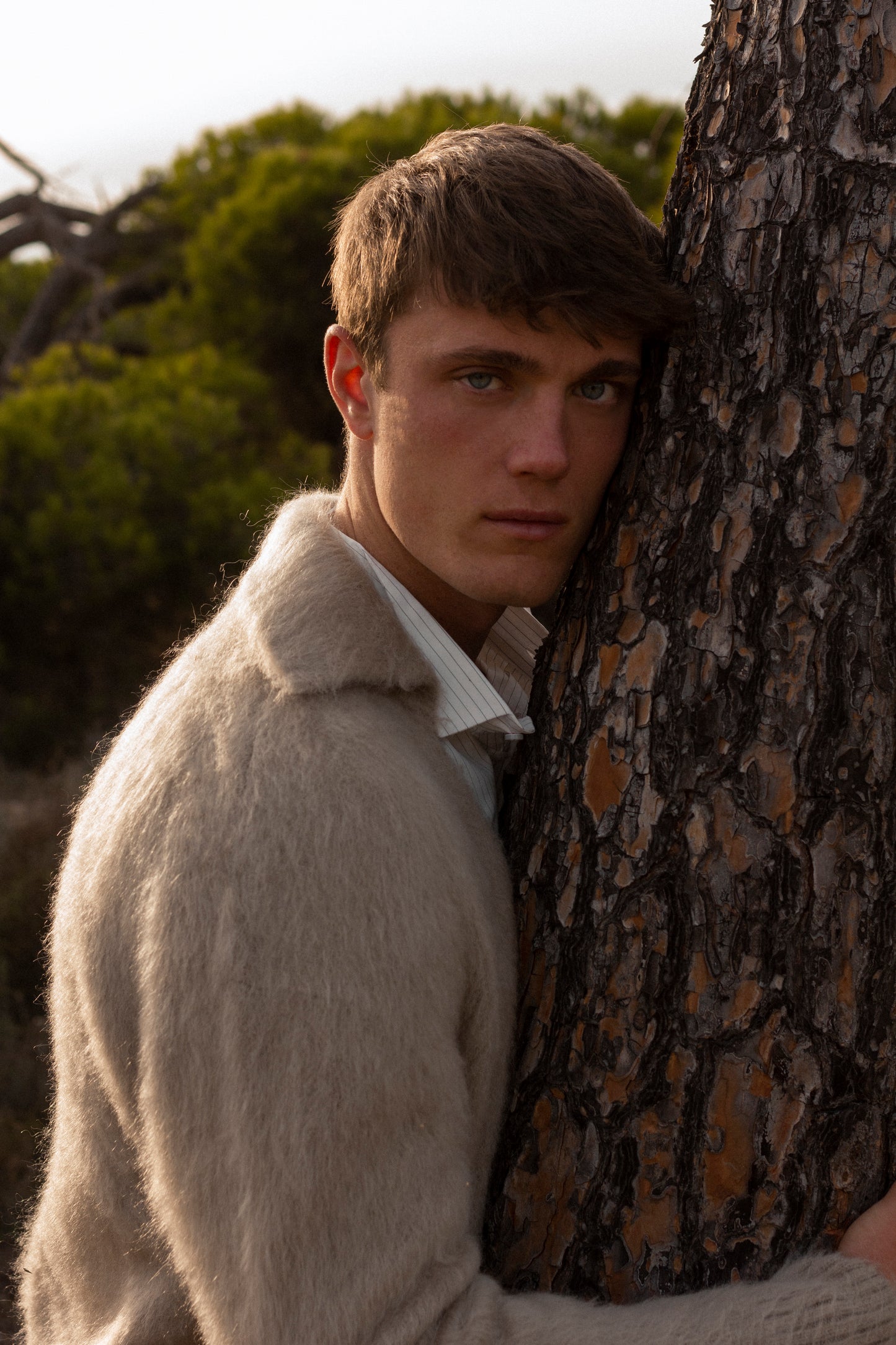 Naval cardigan in mink